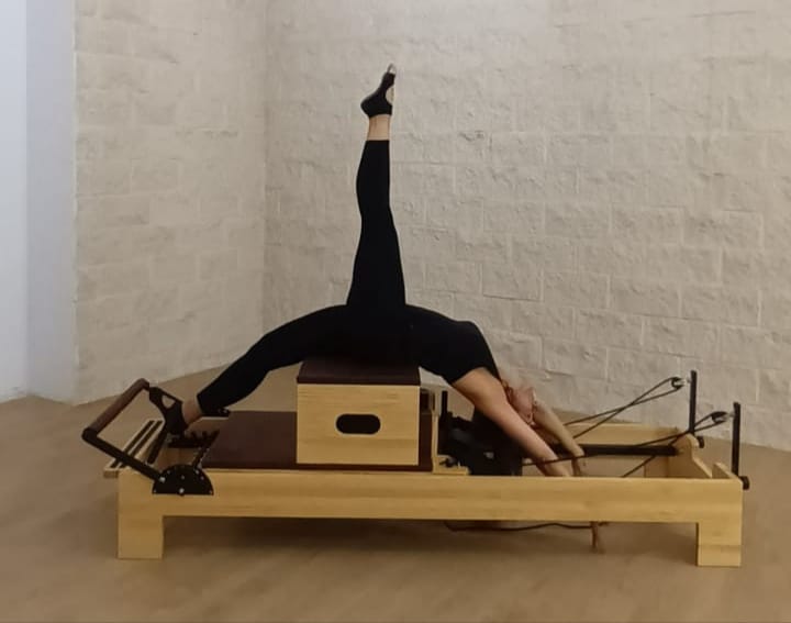 patri reformer